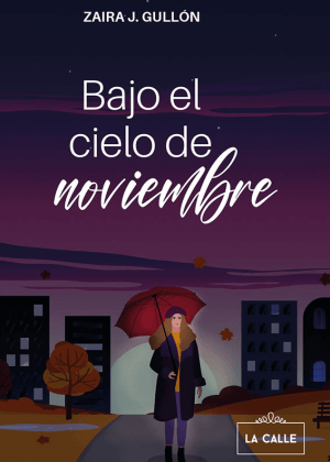 Portada libro Bajo el cielo de noviembre